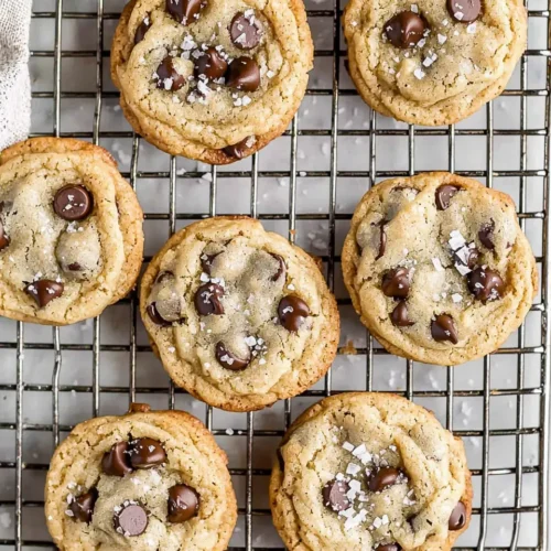 Chewy chocolate chip