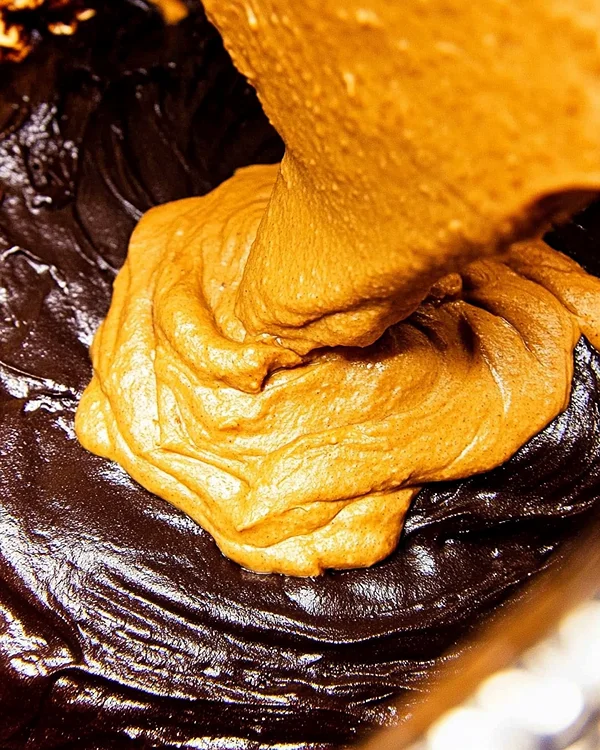 Delicious Pumpkin Brownies 3 Pumpkin Brownies Lil Luna