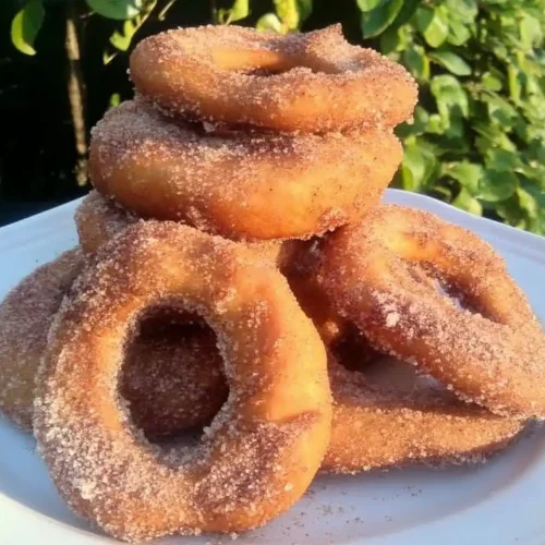 Fried Apple Cinnamon Rings Recipe 4 Fried Apple Cinnamon Rings