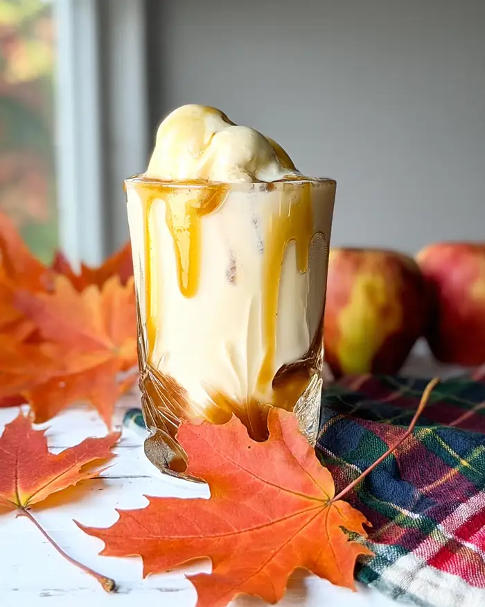 Caramel Apple Cider Float Recipe 4 What Can You Make With Apple Cider