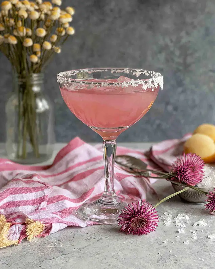 Pink Margarita Recipe 6 pink cocktail margarita